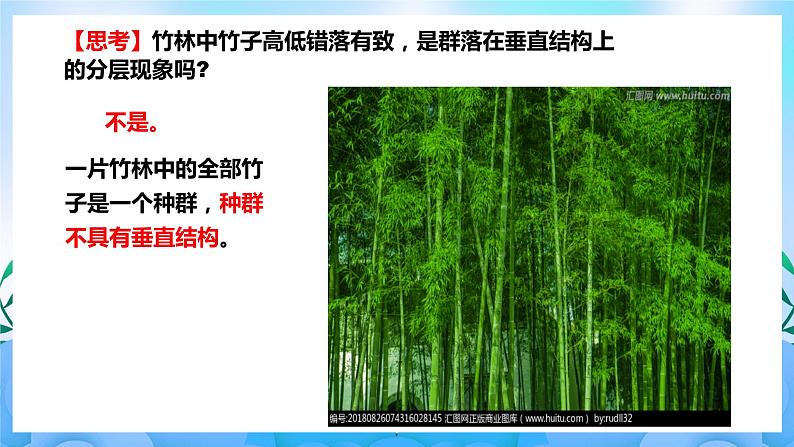 2.1群落的结构 课件 人教版生物选择性必修2(第2课时) 课件 人教版生物选择性必修207