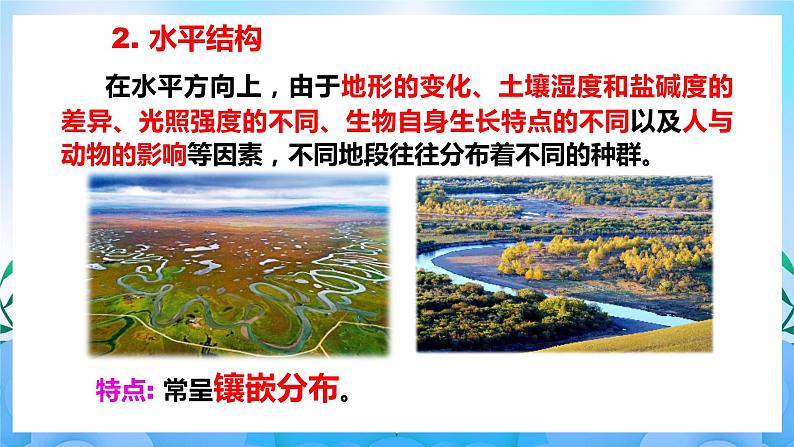 2.1群落的结构 课件 人教版生物选择性必修2(第2课时) 课件 人教版生物选择性必修208