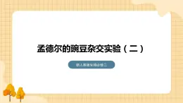 1.2孟德尔的豌豆杂交实验（二）（第一课时）  课件 新人教版生物必修2