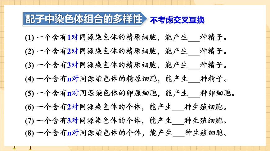 2.1減數(shù)分裂和受精作用（第二課時(shí)）  課件 新人教版生物必修2第7頁(yè)