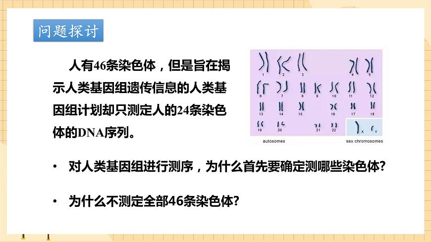 2.2基因在染色體上  課件 新人教版生物必修2第4頁