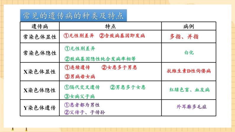 2.3伴性遗传（第二课时）  课件 新人教版生物必修203