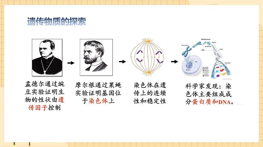 3.1DNA是主要的遺傳物質(第一課時）  課件 新人教版生物必修2第3頁