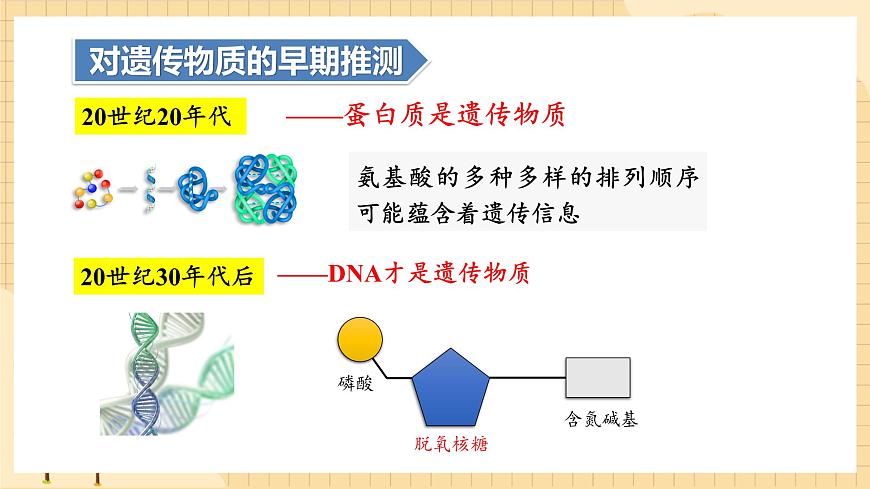 3.1DNA是主要的遺傳物質(第一課時）  課件 新人教版生物必修2第5頁
