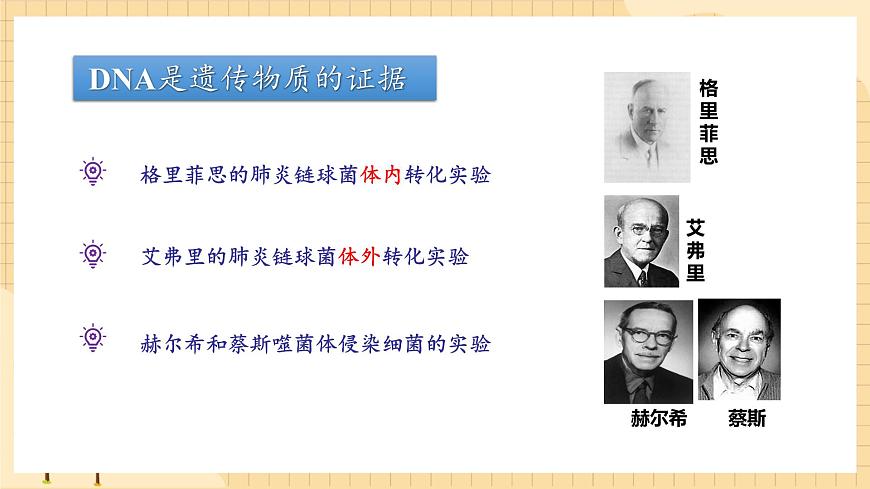 3.1DNA是主要的遺傳物質(第一課時）  課件 新人教版生物必修2第6頁