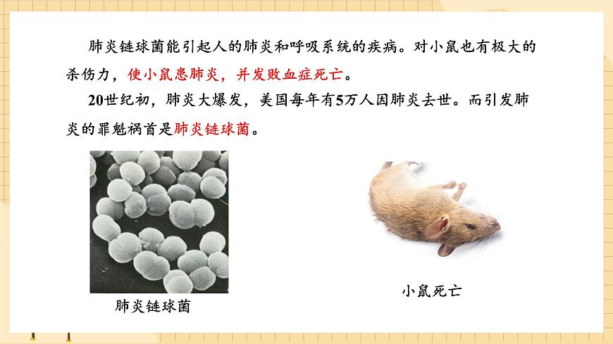 3.1DNA是主要的遺傳物質(第一課時）  課件 新人教版生物必修2第7頁