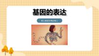 人教版 (2019)必修2《遗传与进化》第1节 基因指导蛋白质的合成完美版ppt课件