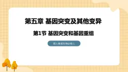 5.1基因突变和基因重组  课件 新人教版生物必修2