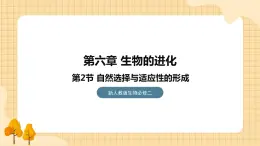 6.2自然选择与适应的形成  课件 新人教版生物必修2