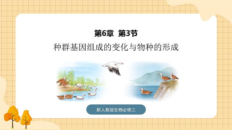 6.3种群基因组成的变化与物种的形成 课件 新人教版生物必修2第1页