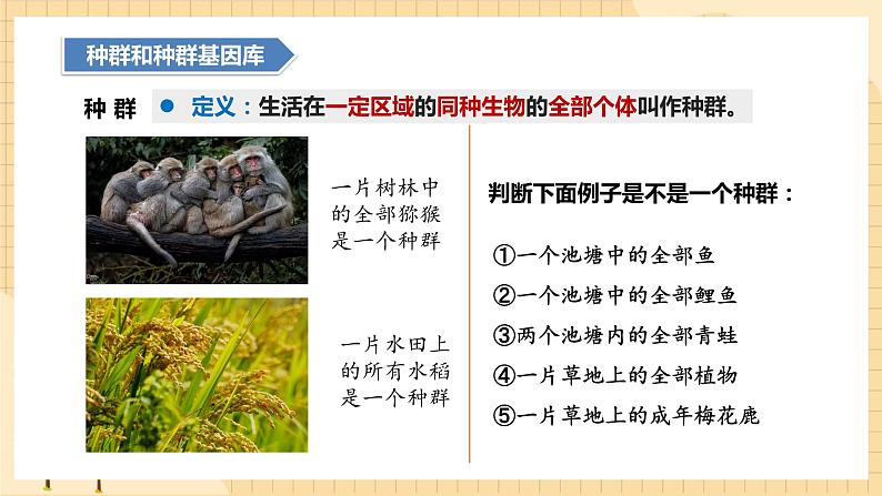 6.3种群基因组成的变化与物种的形成 课件 新人教版生物必修2第5页