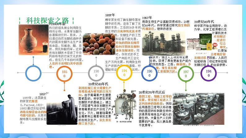 1.1 传统发酵技术的应用(课件)(人教版2019选择性必修3-高二生物)第3页