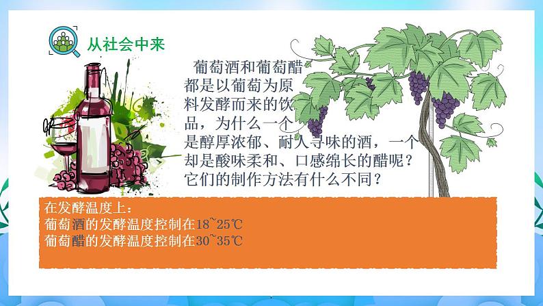 1.1 传统发酵技术的应用(课件)(人教版2019选择性必修3-高二生物)第5页
