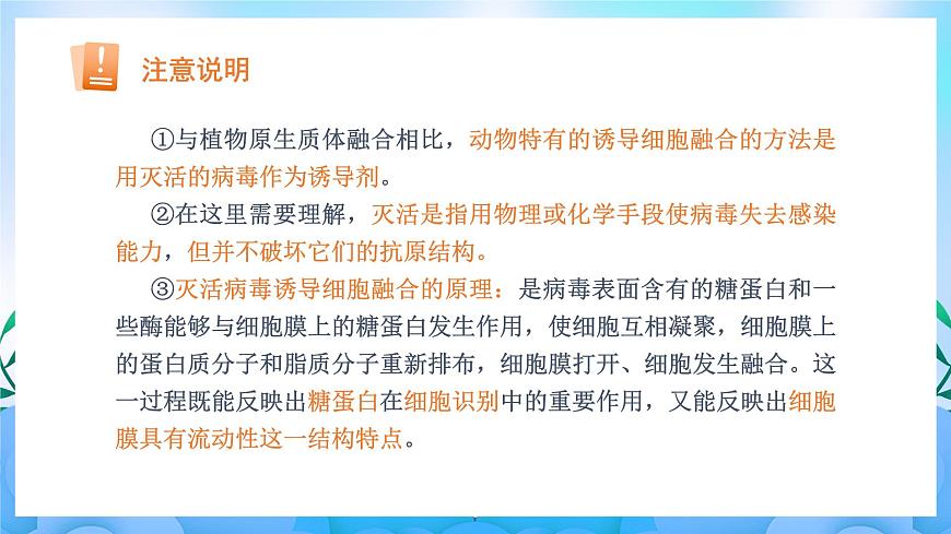 2.2.2 動(dòng)物細(xì)胞融合技術(shù)與單克隆抗體（課件）（人教版2019選擇性必修3-高二生物）第7頁(yè)