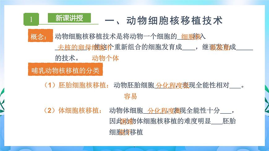 2.2.3 動(dòng)物體細(xì)胞核移植技術(shù)和克隆動(dòng)物（課件）（新人教版2019選擇性必修3-高二生物）第5頁