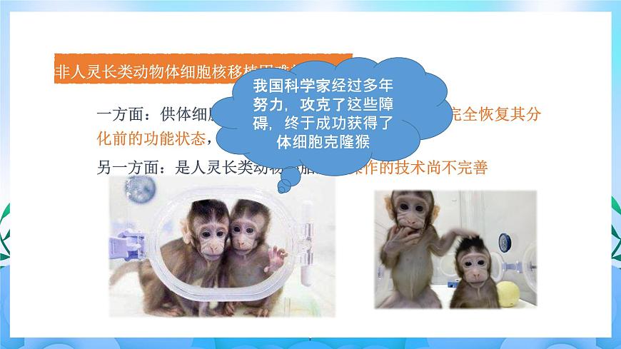 2.2.3 動(dòng)物體細(xì)胞核移植技術(shù)和克隆動(dòng)物（課件）（新人教版2019選擇性必修3-高二生物）第7頁