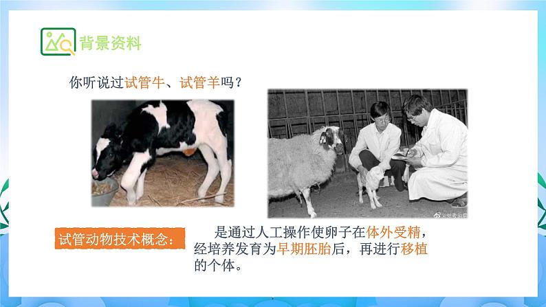 2.3.2 胚胎工程技术及其应用 课件+作业(原卷+解析卷)(新人教版2019选择性必修3-高二生物)04