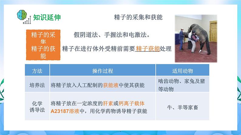 2.3.2 胚胎工程技术及其应用 课件+作业(原卷+解析卷)(新人教版2019选择性必修3-高二生物)06