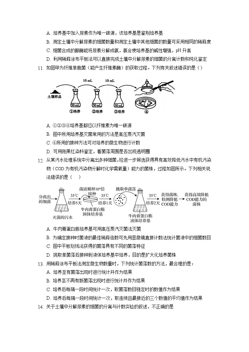1.2.2 微生物的选择培养和计数 作业(原卷+解析卷)(新人教版2019选择性必修3-高二生物)03