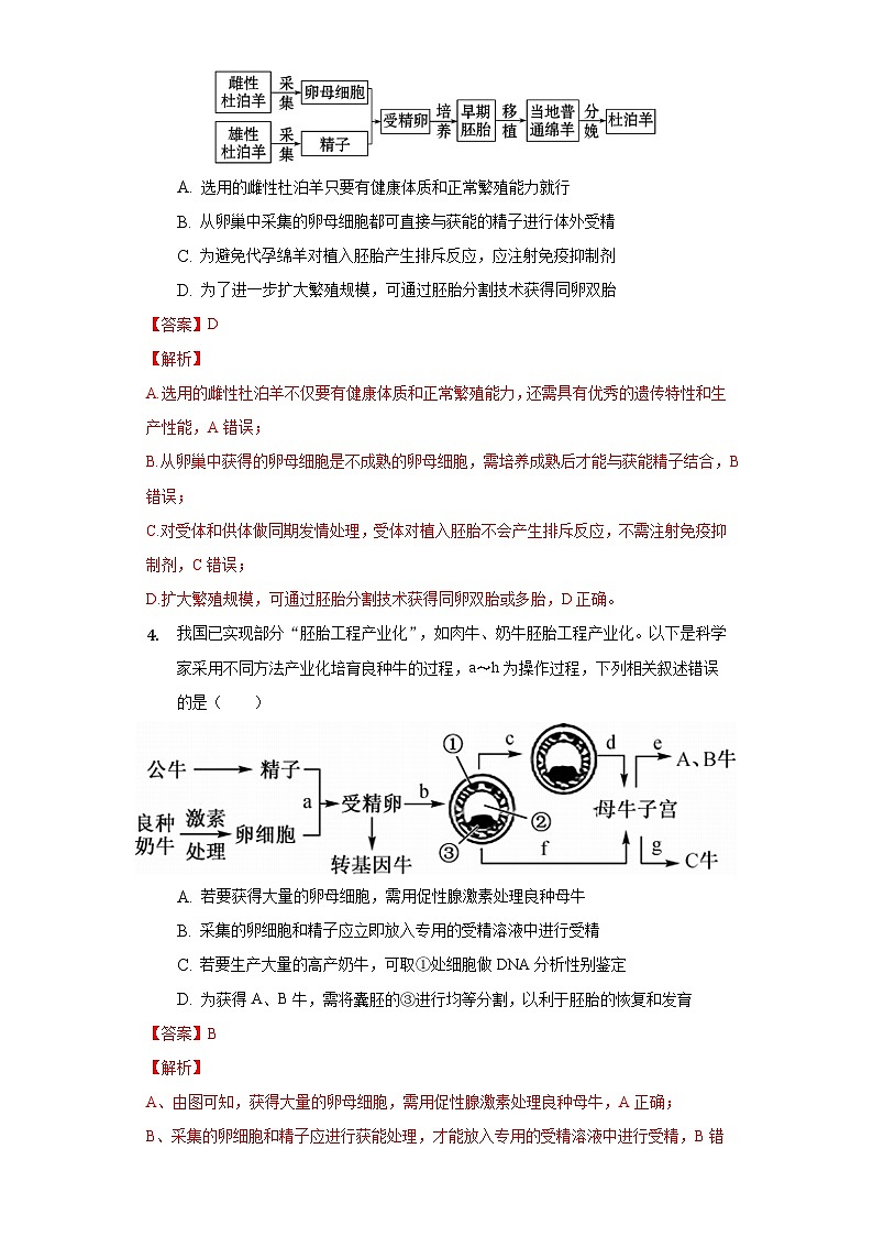 2.3.2 胚胎工程技术及其应用 作业(原卷+解析卷)(新人教版2019选择性必修3-高二生物)02