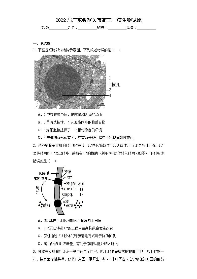 2022届广东省韶关市高三一模生物试题(含解析)01