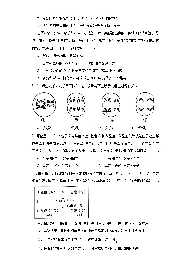 2022届广东省韶关市高三一模生物试题(含解析)03