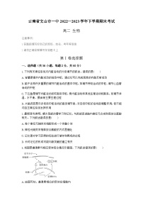 云南省文山市第一中学2022—2023学年高二下学期期末考试生物试题（含答案）