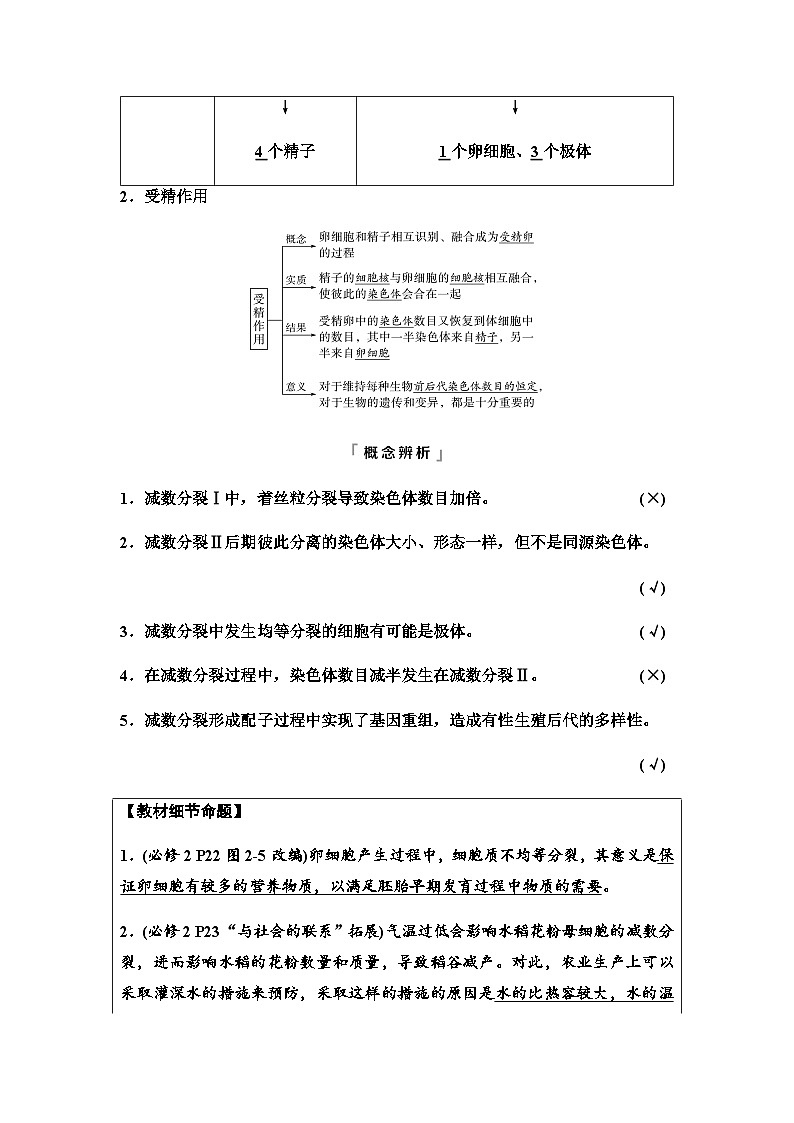 2024届高考生物一轮复习第4单元第12课减数分裂和受精作用学案03