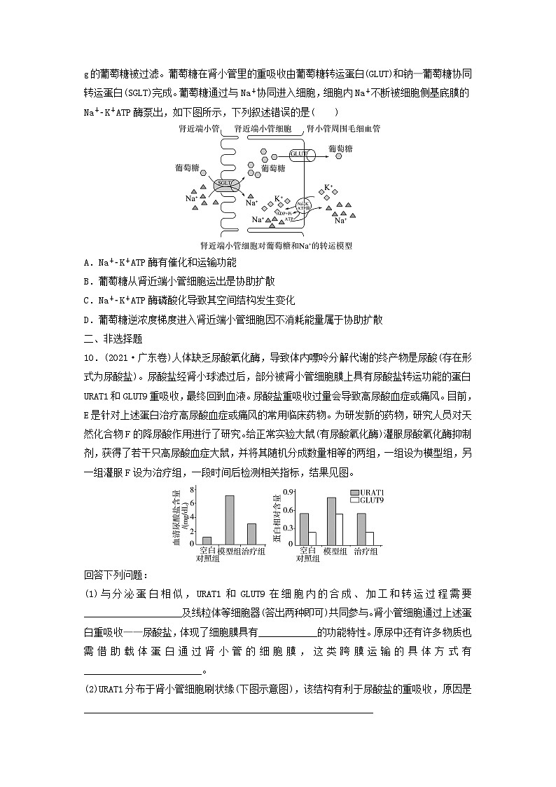 课时质量评价6细胞的物质输入和输出---2024版高考生物一轮总复习第3页
