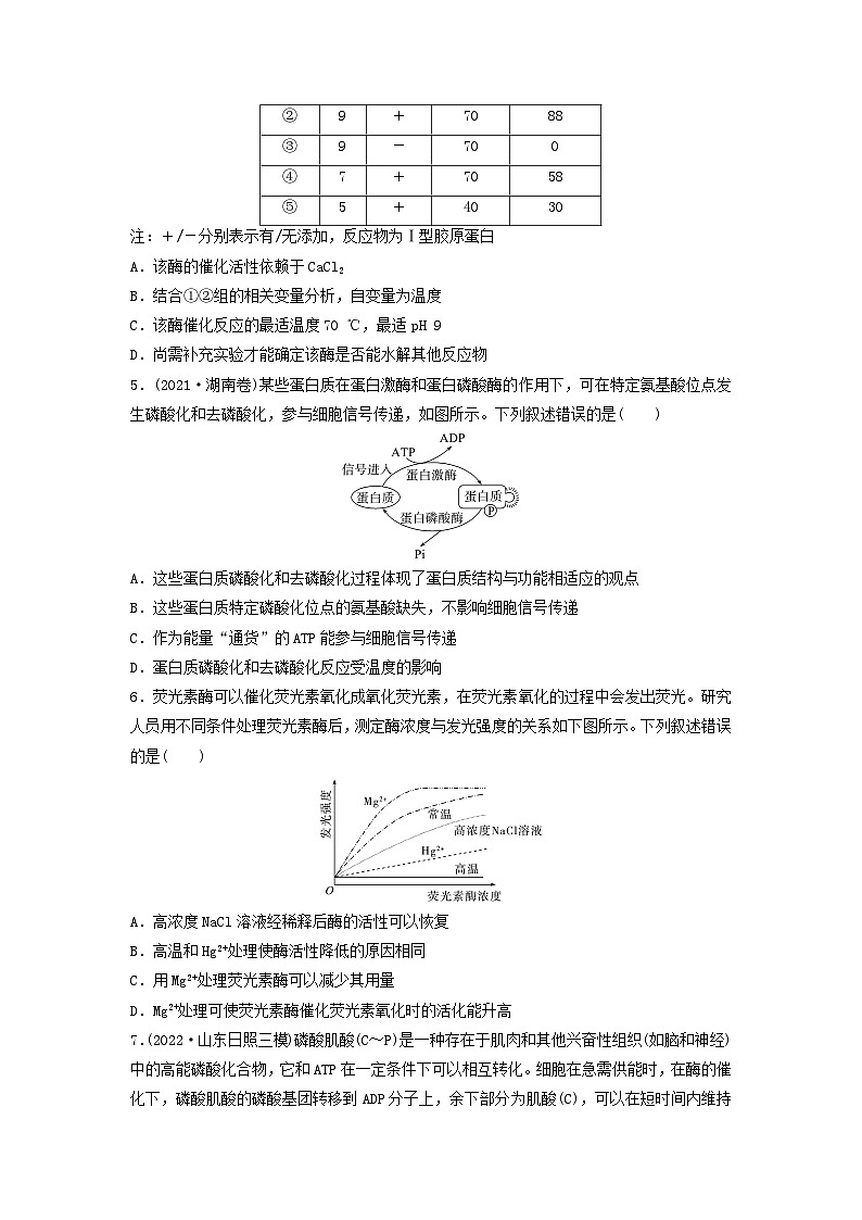 课时质量评价7酶和ATP---2024版高考生物一轮总复习第2页