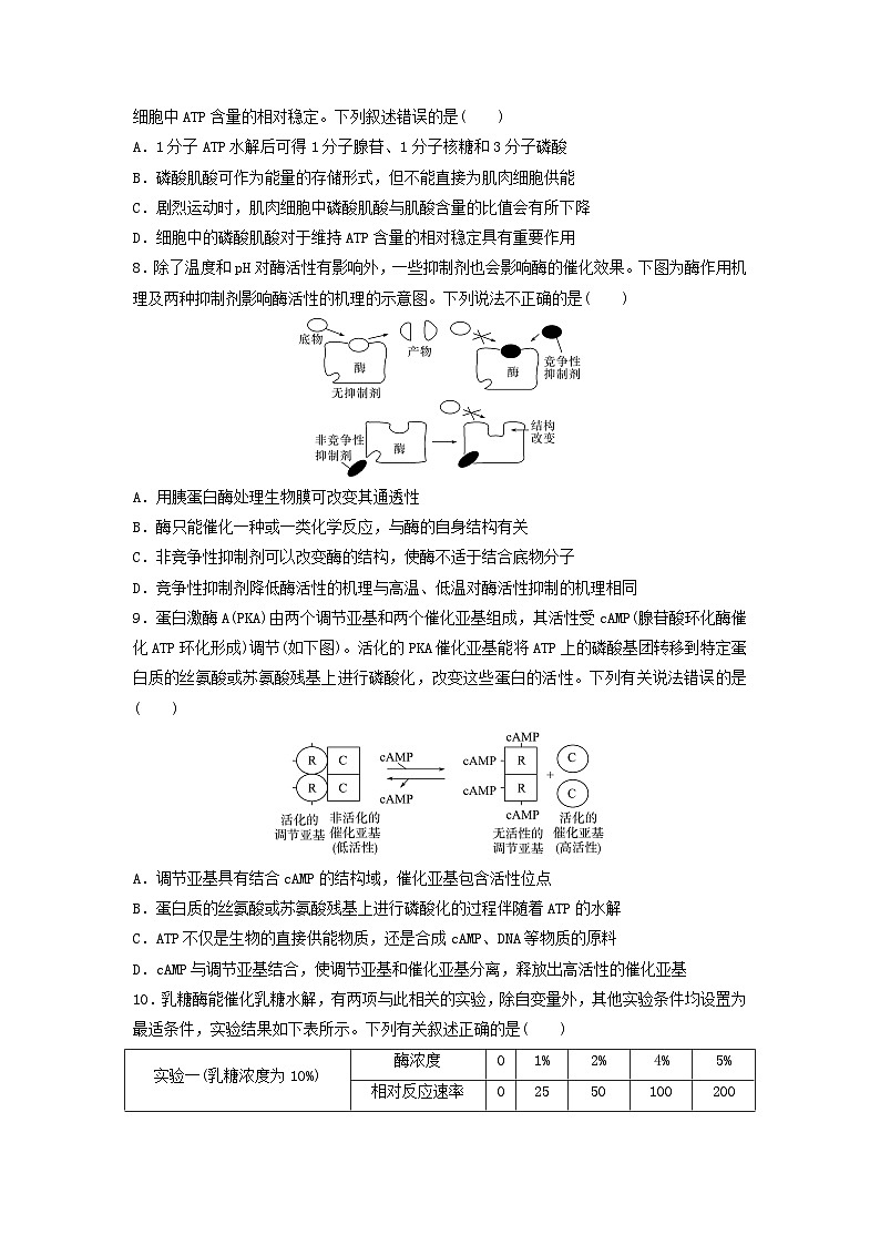 课时质量评价7酶和ATP---2024版高考生物一轮总复习第3页