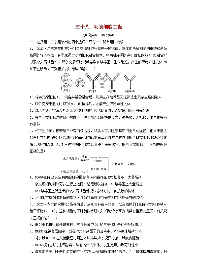 课时质量评价38动物细胞工程---2024版高考生物一轮总复习第1页
