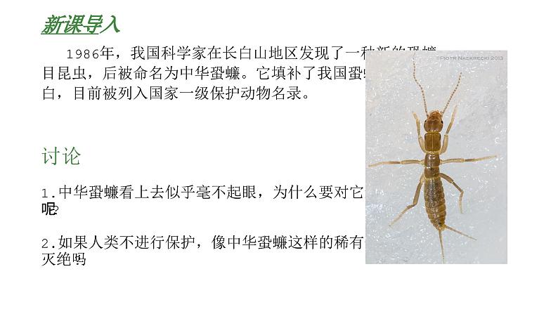 高中生物人教版(2019)选择性必修2第四章4.1《人类活动对生态环境的影响》同步练习第3页