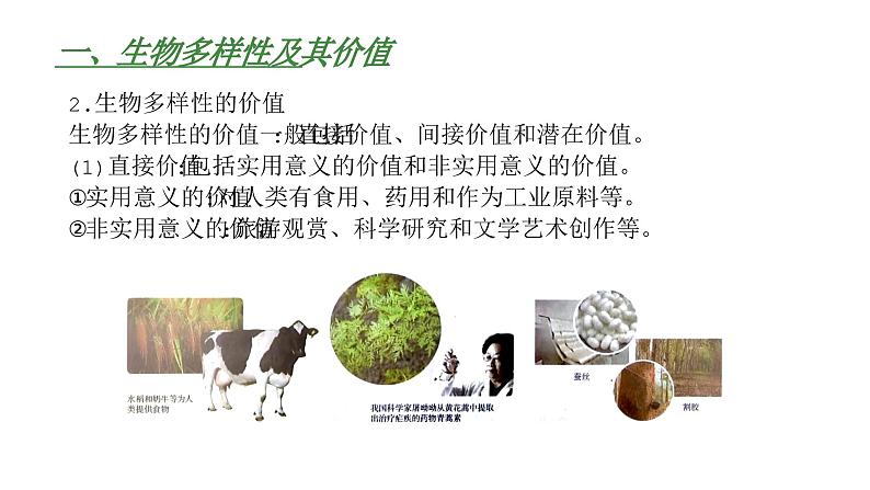 高中生物人教版(2019)选择性必修2第四章4.1《人类活动对生态环境的影响》同步练习第8页