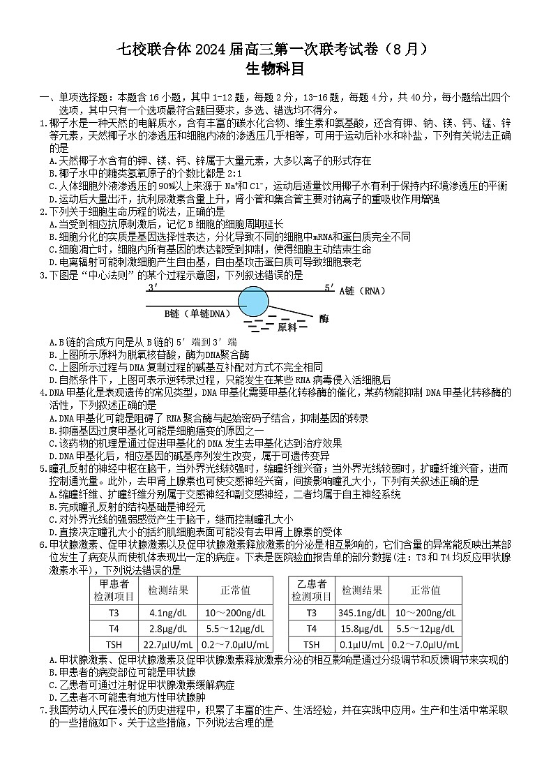 广东省七校联合体2023-2024高三上学期第一次联考生物试卷+答案01