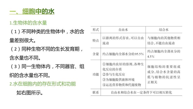 高中生物人教版（2019）必修1第二章2.2《细胞中的无机物》课件+同步练习03