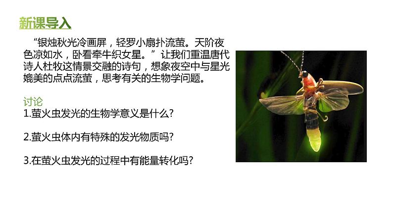 高中生物人教版(2019)必修1第五章5.2《细胞的能量“货币”ATP》课件+同步练习02