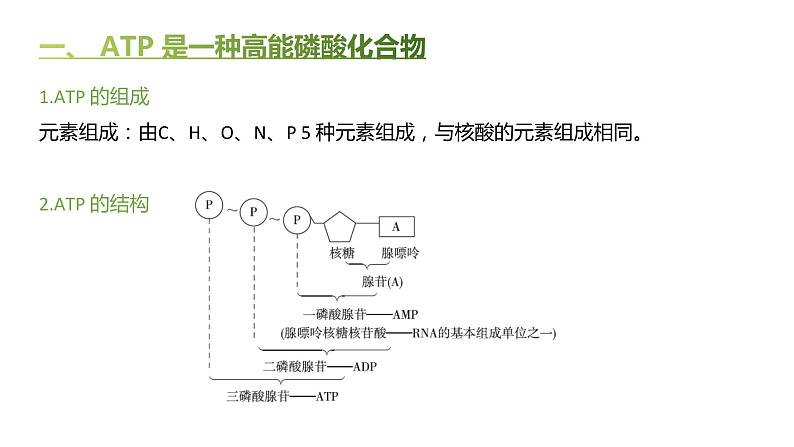 高中生物人教版(2019)必修1第五章5.2《细胞的能量“货币”ATP》课件+同步练习03