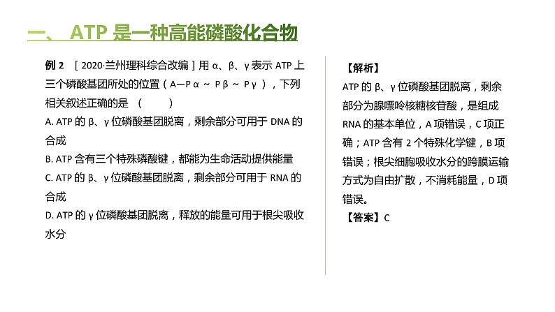 高中生物人教版(2019)必修1第五章5.2《细胞的能量“货币”ATP》课件+同步练习07