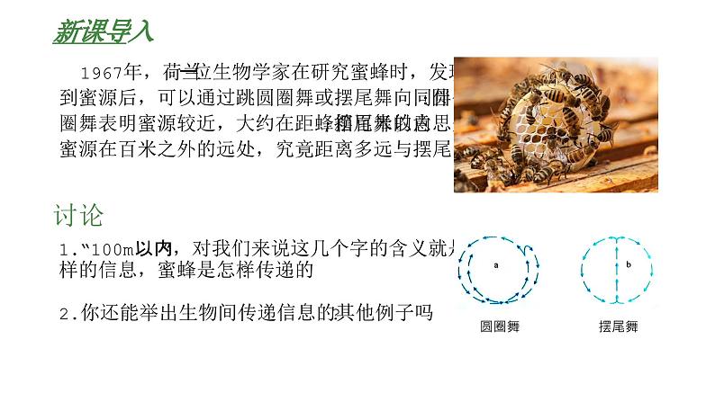 高中生物人教版(2019)选择性必修2第三章3.4《生态系统的信息传递》课件+同步练习03