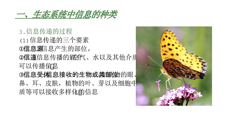 高中生物人教版(2019)选择性必修2第三章3.4《生态系统的信息传递》课件+同步练习07