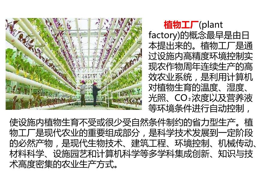 2023屆高三生物第一輪復(fù)習(xí):光合作用的影響因素及應(yīng)用 課件第2頁(yè)