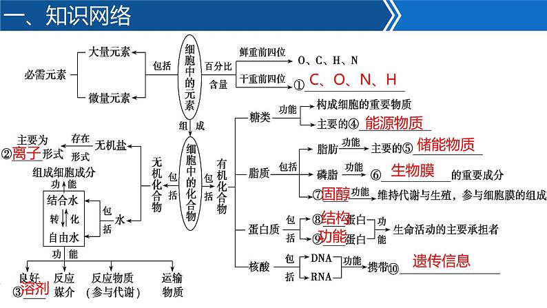 2023届高三生物二轮专题复习:细胞的分子组成课件PPT第3页