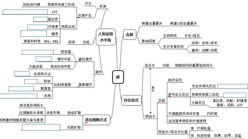 2023届高三生物二轮专题复习:细胞的分子组成课件PPT第6页