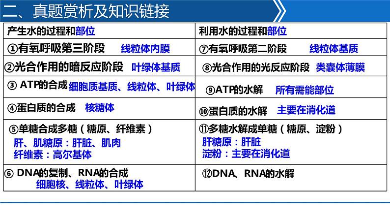 2023届高三生物二轮专题复习:细胞的分子组成课件PPT第7页