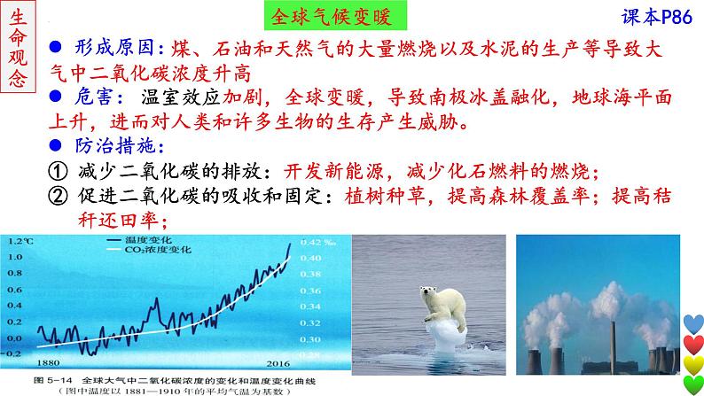 2023届高三生物一轮复习课件 人与环境1第8页