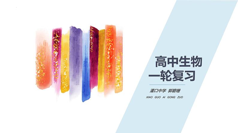 2023届高三生物一轮复习课件:细胞增殖第1页