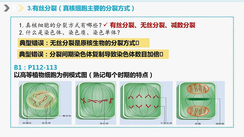 2023届高三生物一轮复习课件:细胞增殖第8页