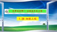 2023届高三生物一轮复习课件细胞工程【植物】