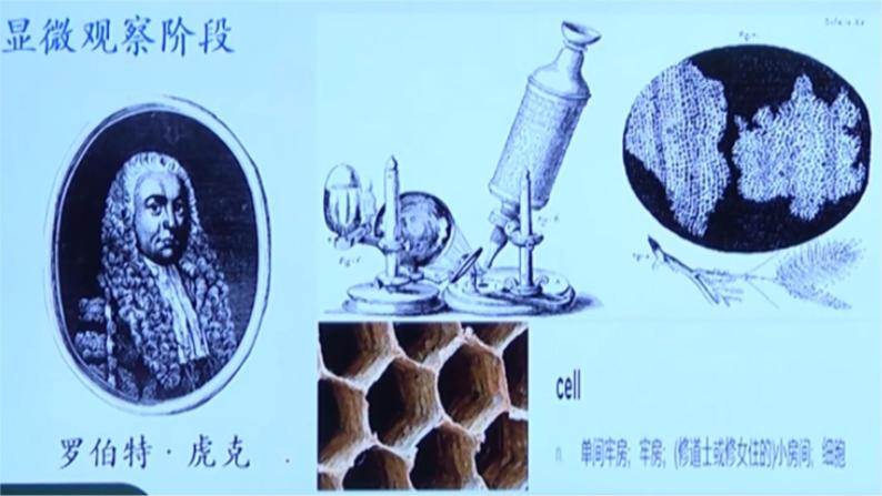 人教版高中生物必修一 1.1《细胞是生命活动的基本单位》（课件）07